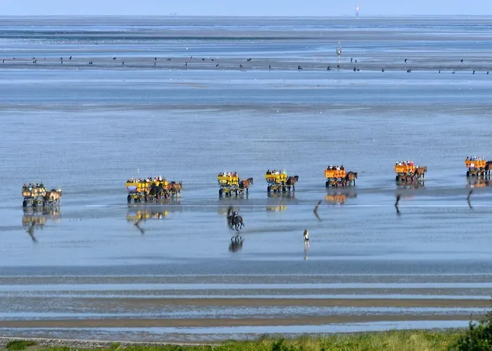 Lägenhet Strandhochhaus Sg04
